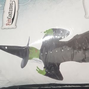 Womens witch costume 2X